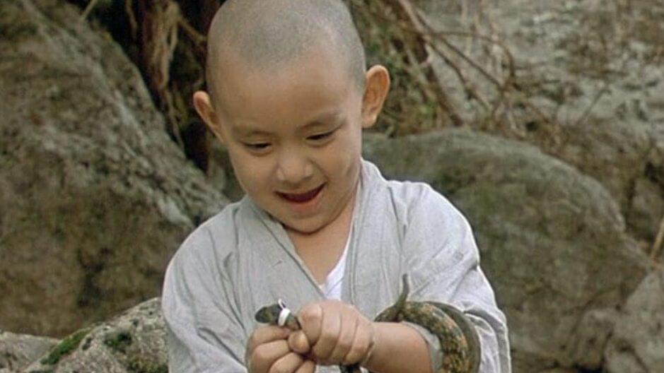 Spring, Summer, Fall, Winter… and Spring (2003) Kim Ki duk Movie